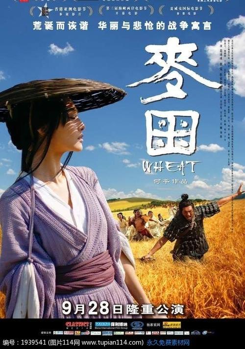 国立罗蒙诺索夫大学商业管理文凭证书